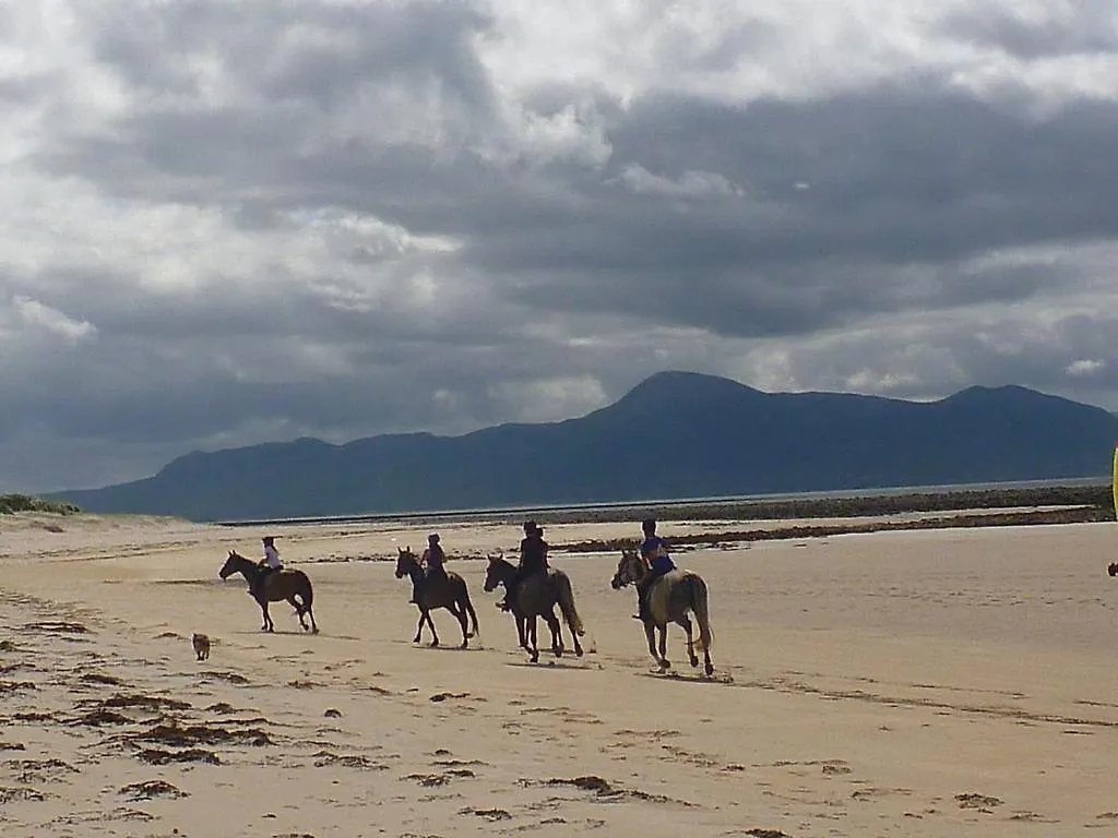 Pier Road Cottage, Croagh Patrick Westport 0*,